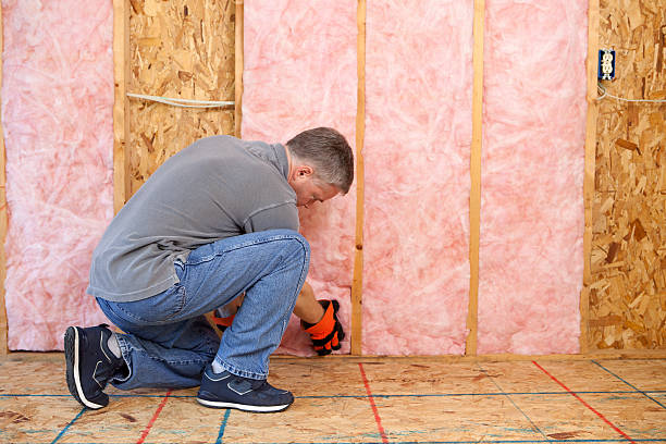 Trusted Bronte, TX Insulation Experts